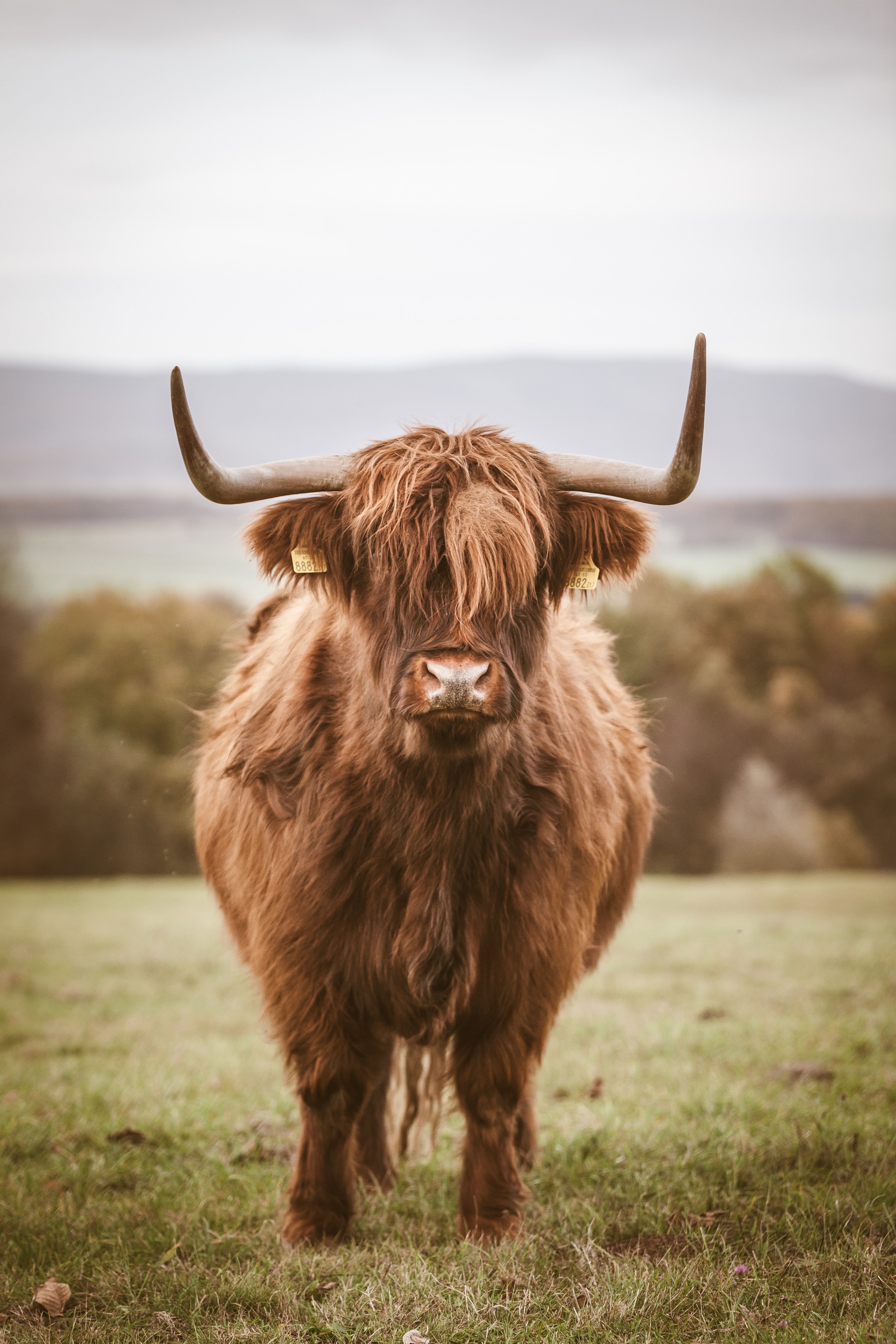 quaritsch-photography-c98G2KqZjDM-unsplash quaritsch-photography-c98G2KqZjDM-unsplash
